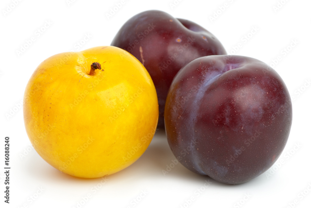 Two violet plums and one yellow