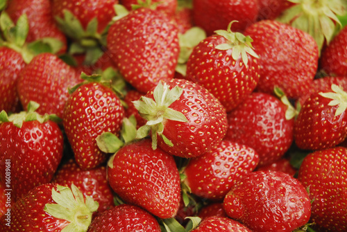 strawberry - strawberries