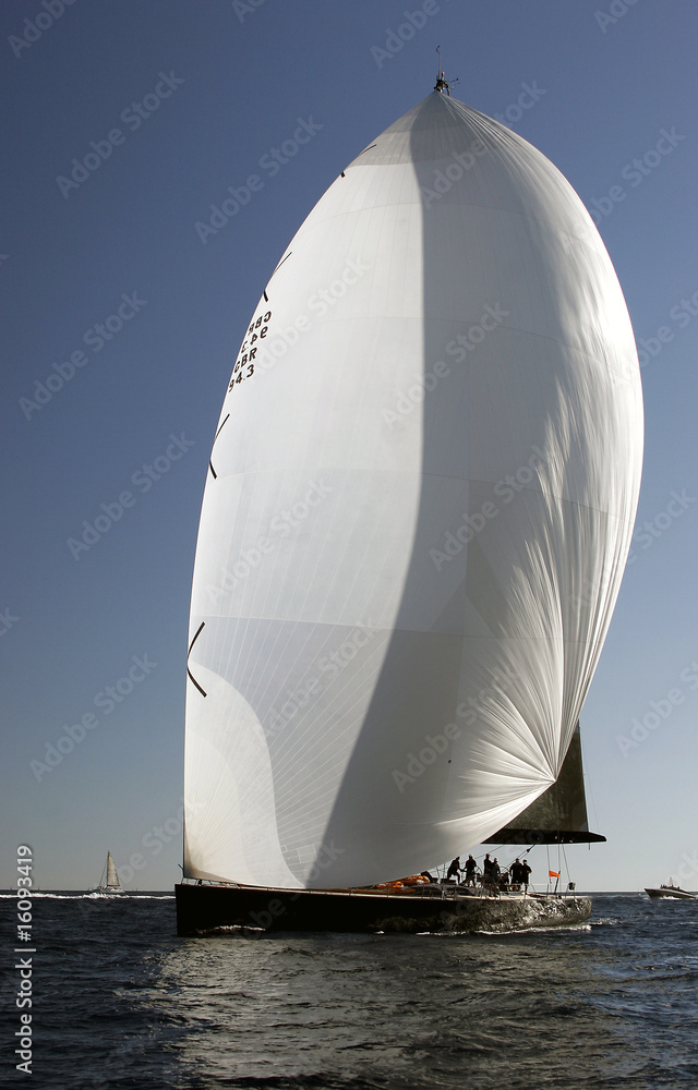 Fototapeta premium Downwind