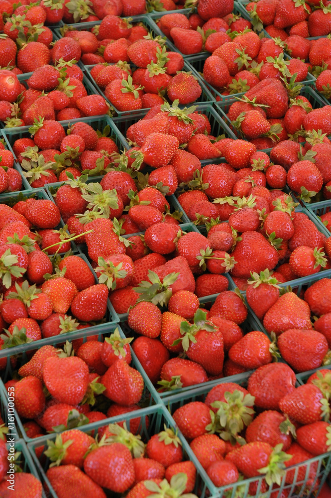 Organic Strawberries Organic Strawberries