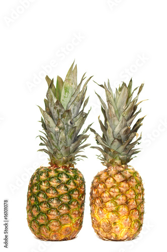 Fresh ripe pineapples on a white background.