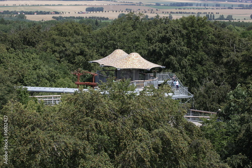 Baumkronenpfad an der Thiemsburg