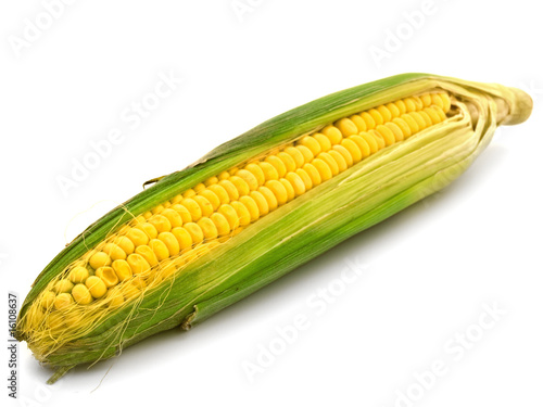 earcorn photo