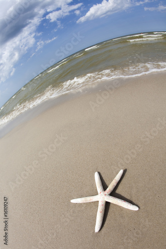 Holidays on a sundy beach among shell
