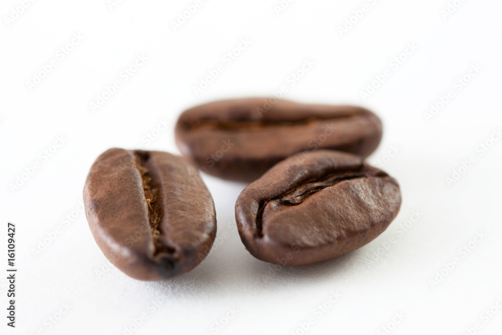 Coffee bean close up Coffee bean close up