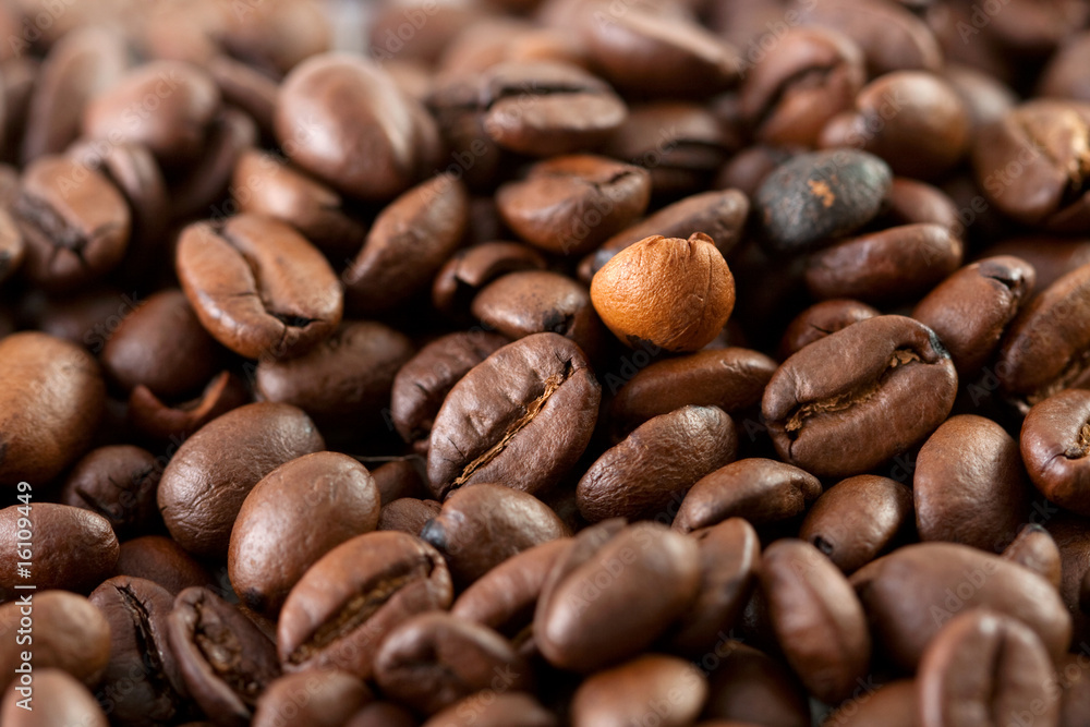 Coffee bean close up Coffee bean close up