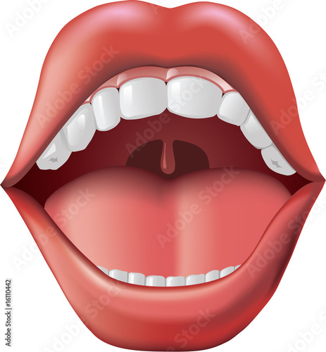 Open Mouth with teeth and tongue.