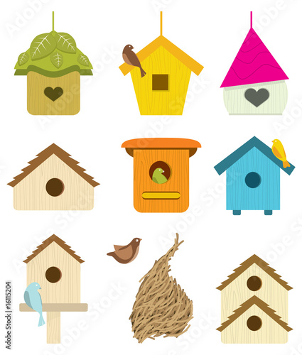 Bird Nest