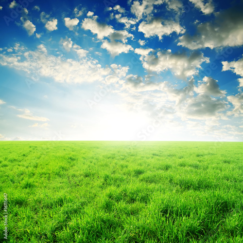 green grass and sun sky