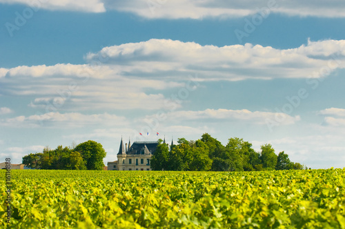 Chateau and vineyard in Margaux, Bordeaux, France #16116888