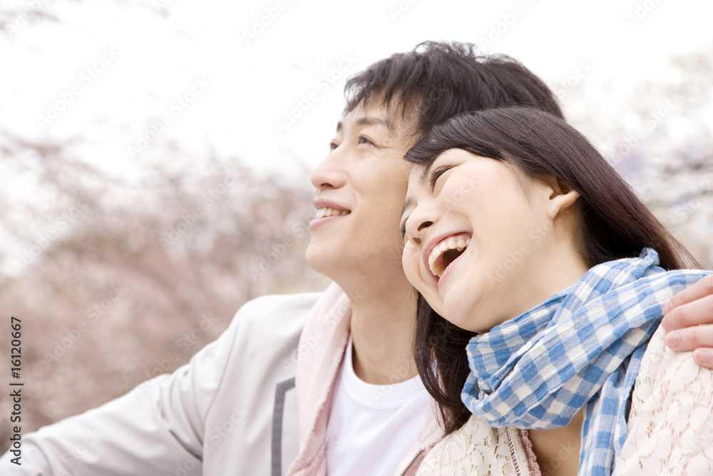 花見をするカップル 花見をするカップル
