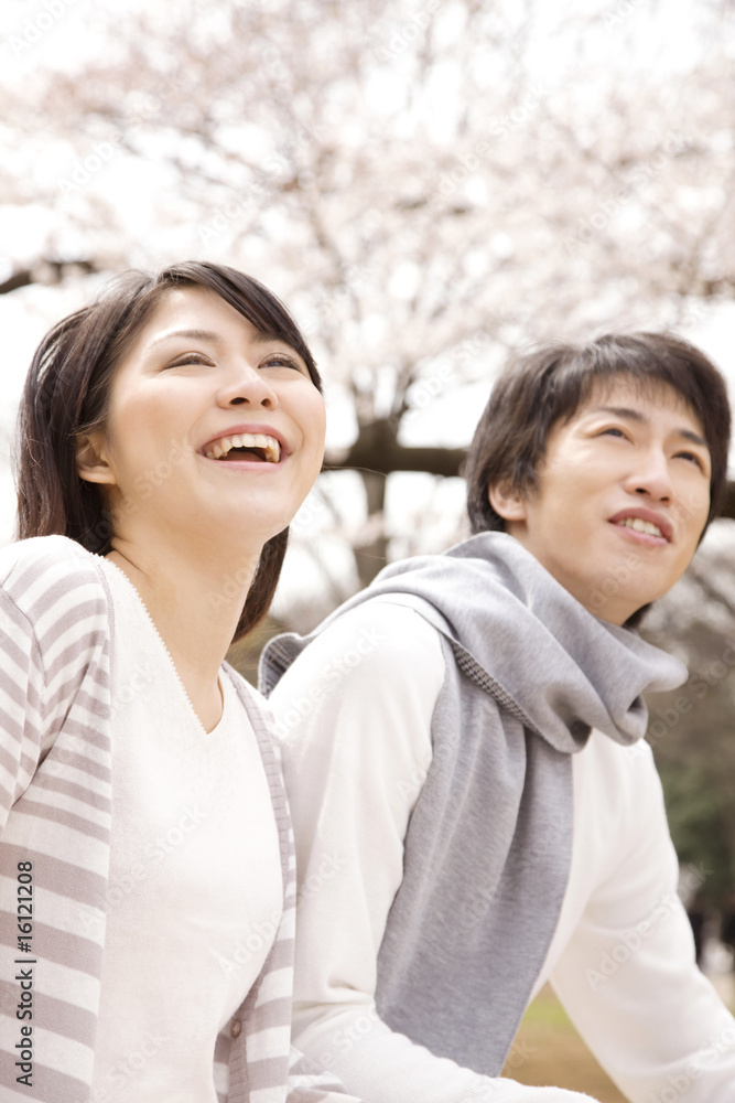 花見をするカップル 花見をするカップル