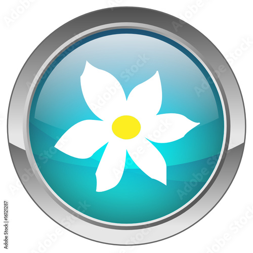 Bouton "Fleur" - "Flower" button