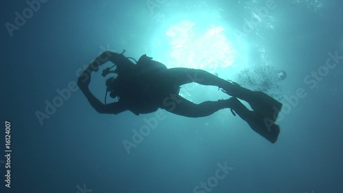 Diver