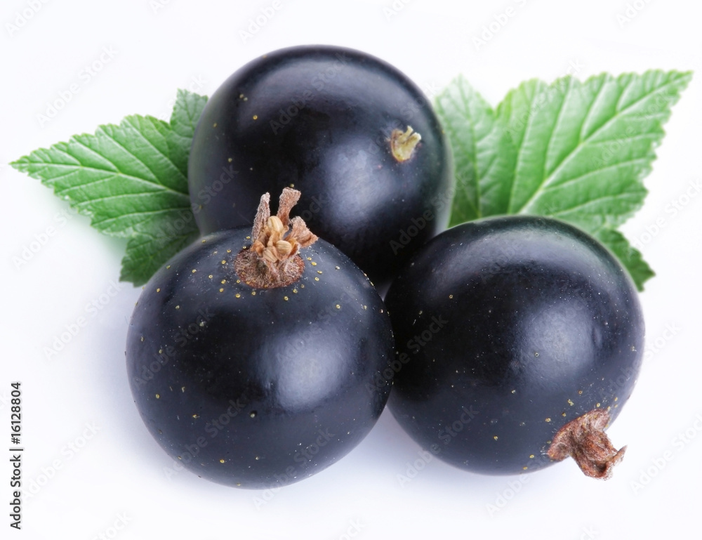 Black currant Black currant