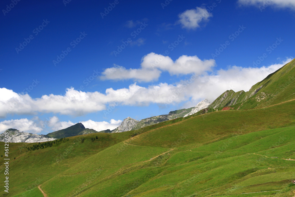 mountain with the green grass