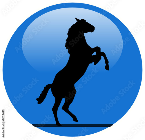 cavalo