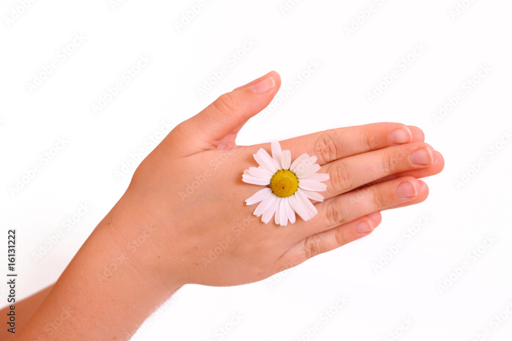 hände,margeritte hände,margeritte
