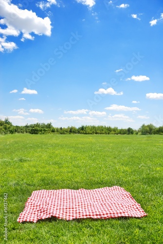 picnic cloth on meadow with copy space