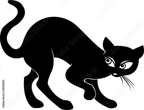 black cat two