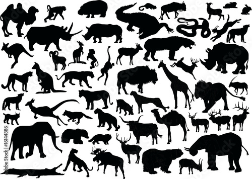 huge set of animals