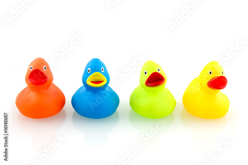 Colorful rubber ducks photo