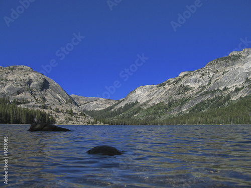 Yosemite National Park