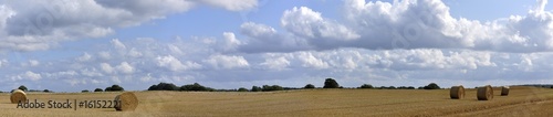 abgeerntetes Feld mit Rundballen