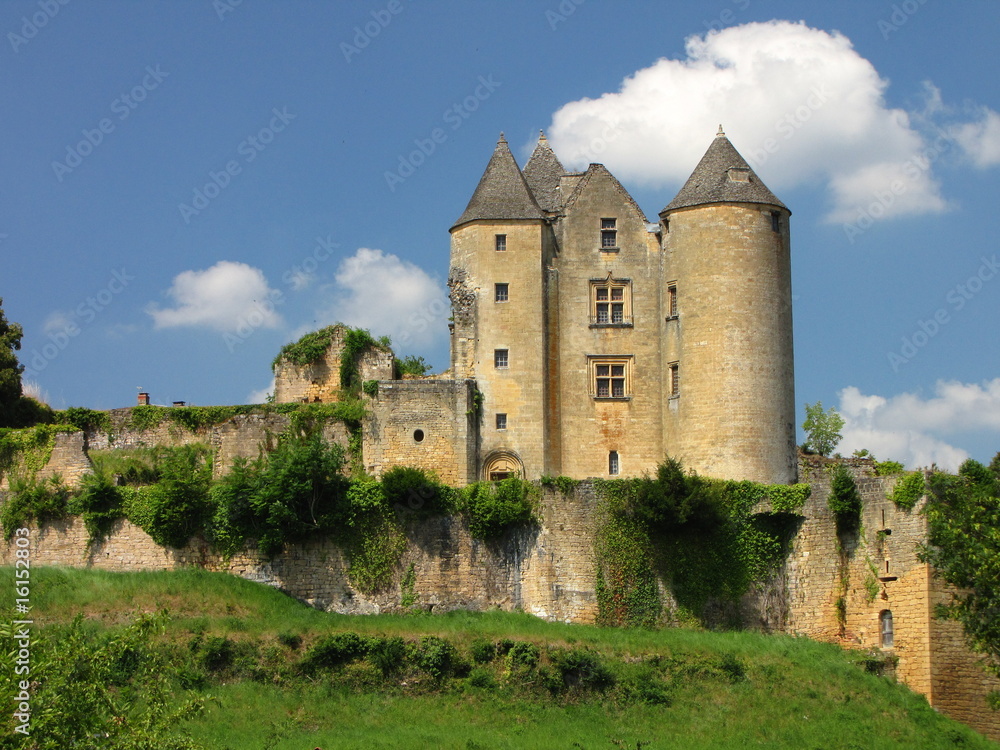 Salignac et son château ; Périgord, Limousin,