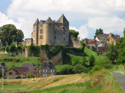 Salignac et son château ; Périgord, Limousin, #16154441