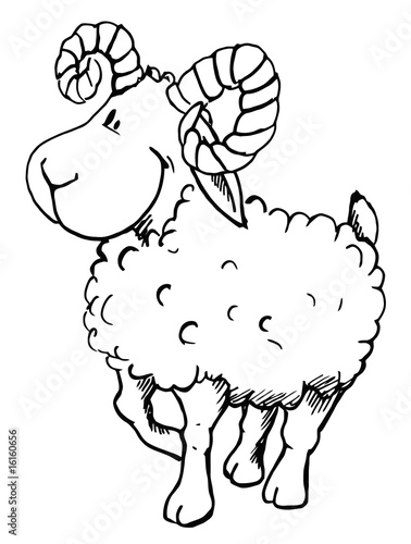 widder, sternzeichen, schaf