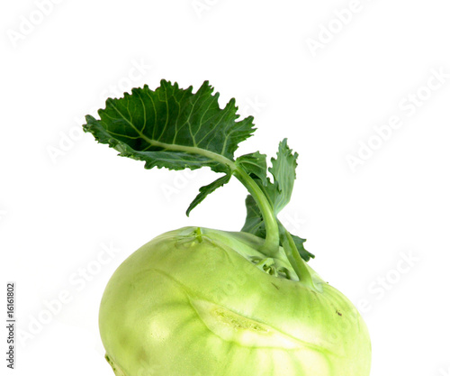 Kohlrabi isolated nb.4 photo