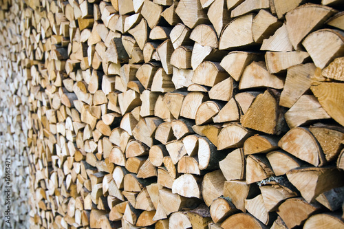 Wood - texture - structure - background