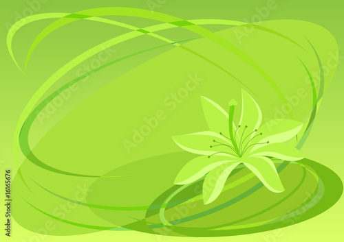 Green lily