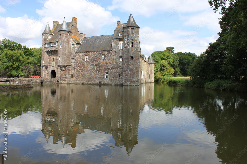 Fototapeta premium chateau de trecesson