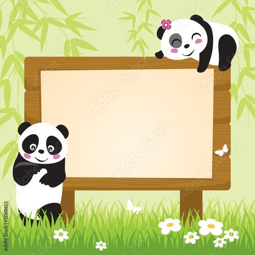 Panda and Bamboo