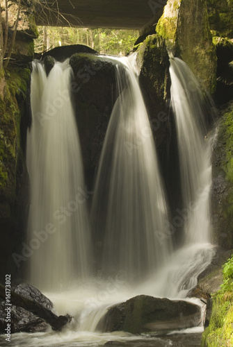 Waterfall in black forrest