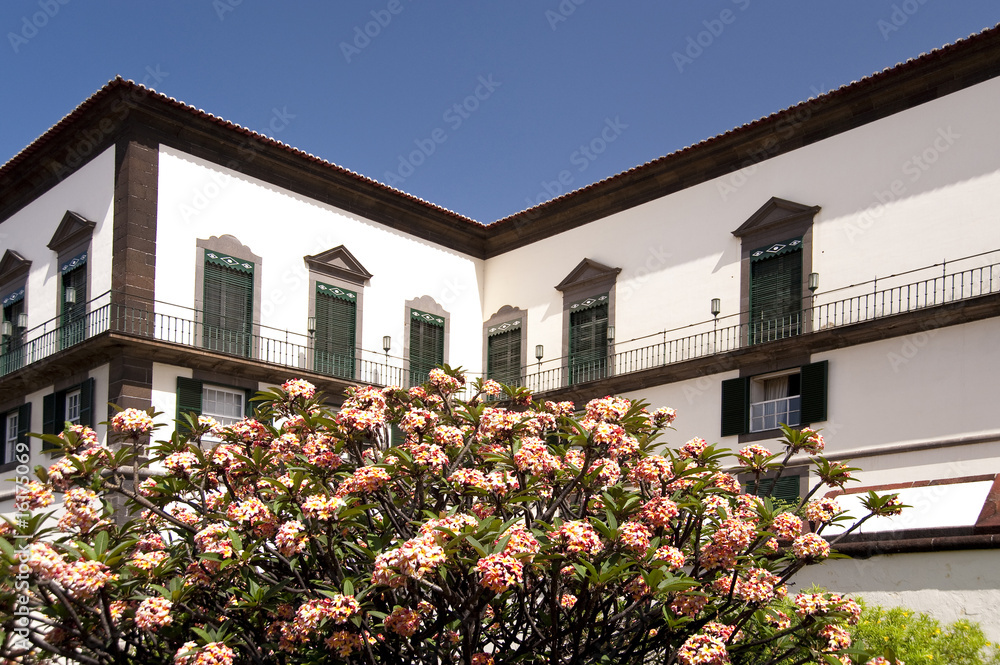 madeira madeira