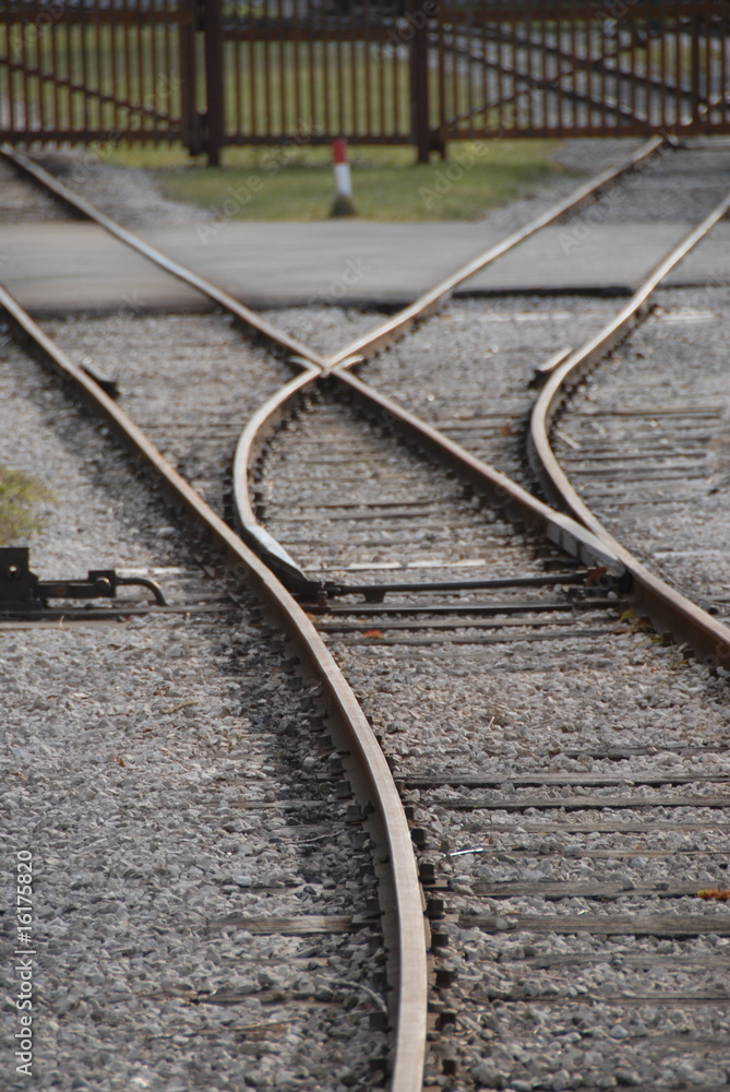 Fototapeta premium Schiene