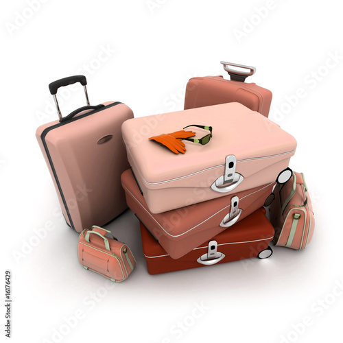 Elegant woman baggage