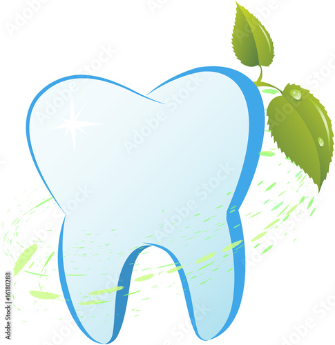 Tooth with a mint branch