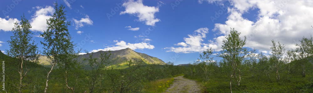Naklejka premium Road in foothills