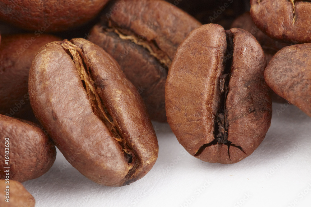 Fototapeta premium Coffe bean