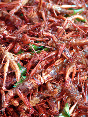 Thailand food stalls - fried insects nb.30