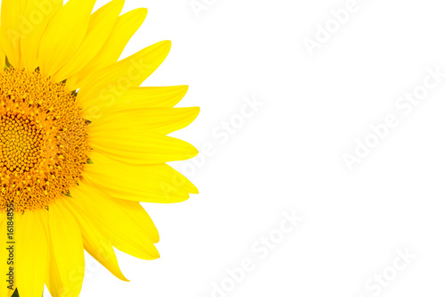 Fototapeta Naklejka Na Ścianę i Meble -  Half of the sunflower isolated on white