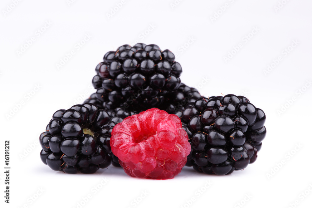 The blackberry and raspberry The blackberry and raspberry