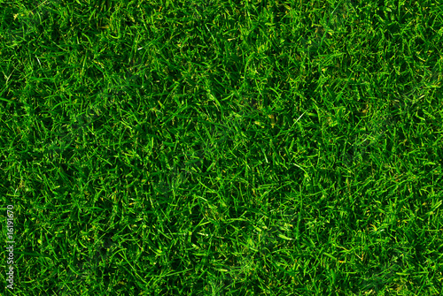 texture de fond en gazon vert - green ou pelouse tondue photo