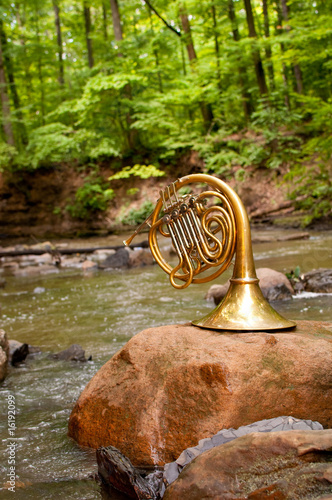 French Horn Picturesque