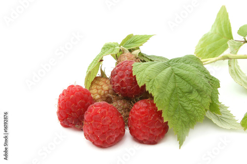 raspberry