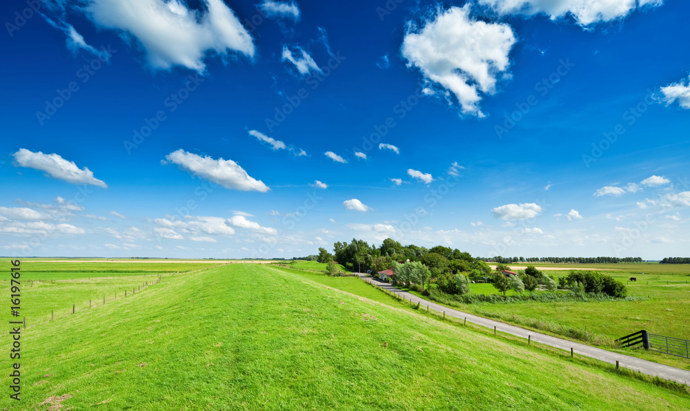 Naklejka premium Summer background